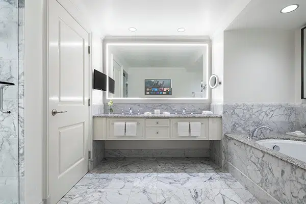 Project The Ritz Paris France